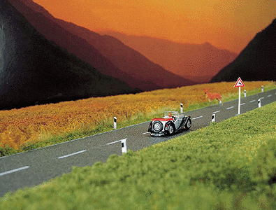 asphalt_country_road_39-38_x_2-58_1m_x_66mm_189-6033.gif