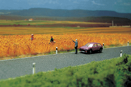 asphalt_country_road_39-38_x_2-58_1m_x_66mm_189-6034.gif