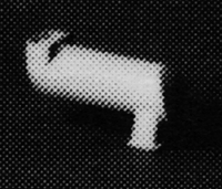 CVR Picture for Spark arrestor MILW F Units /2