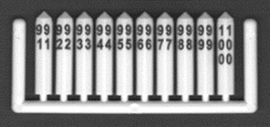 CVR Picture for Mile Post Marker 601-850