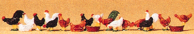 CVR Picture for Chickens /18
