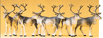 CVR Picture for Reindeer /6
