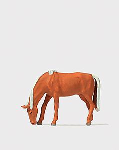 CVR Picture for Grazing Horse