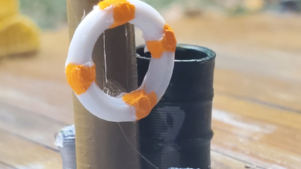 CVR Picture for Life Rings /8