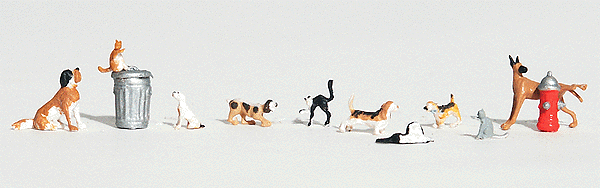 CVR Picture for Dogs & Cats /11