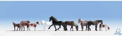 majestic_horses_pkg9_949-6074_big.jpg