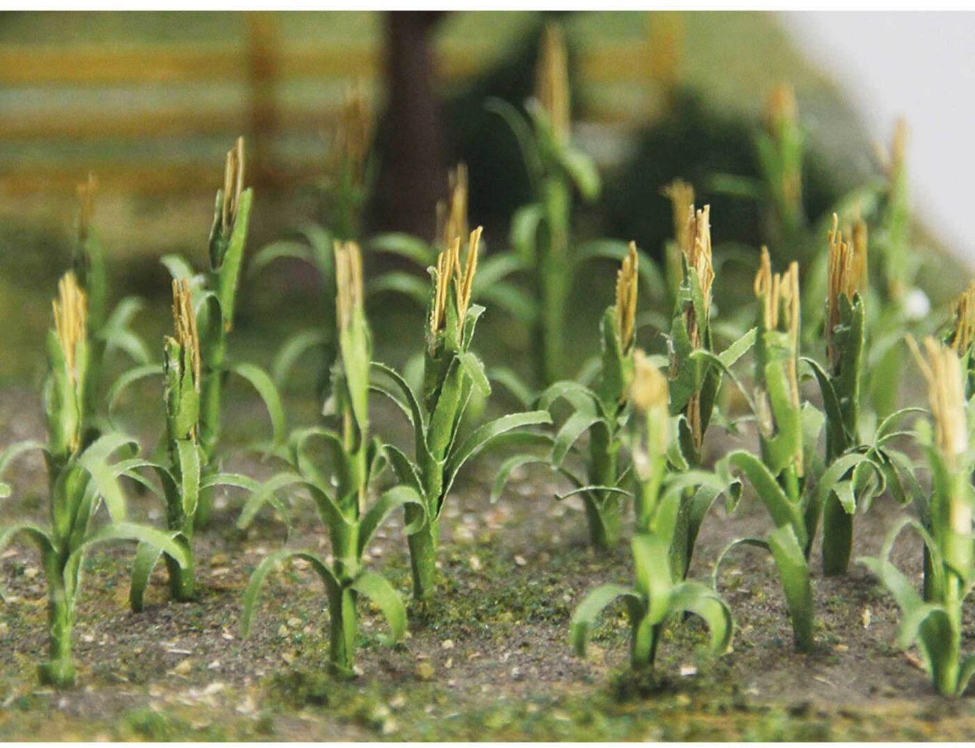 CVR Picture for Corn Stalks /30