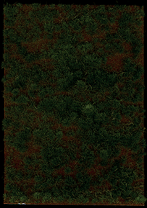 CVR Picture for Thinning Grass Pad Heathland Grass