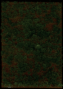 thinning_grass_pad_11-1116_x_8-14_297_x_21cm_189-1309.gif
