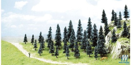 spruce_tree_assortment_189-6492_big.jpg
