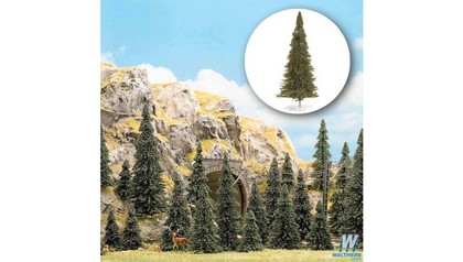 trees_conifer_pkg_30_189-6571_big.jpg