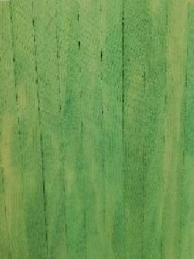 CVR Picture for Weathering Mix FernGrn 240ml *HAZ