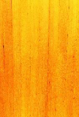 CVR Picture for WeatheringMix MarigldYEL240ml*HAZ