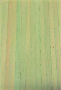 CVR Picture for Weathering Mix Pale Grn 240ml*HAZ