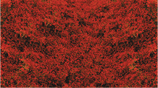 CVR Picture for Decograss Pad 11x5 1/2 RedClover