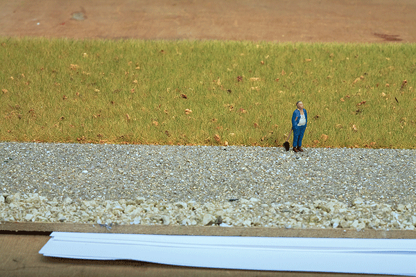 CVR Picture for Wild Static Grass Blend Alpine Mead