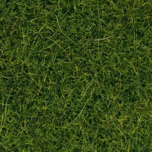 CVR Picture for Wild Grass - Dark Green 1/2in 100g