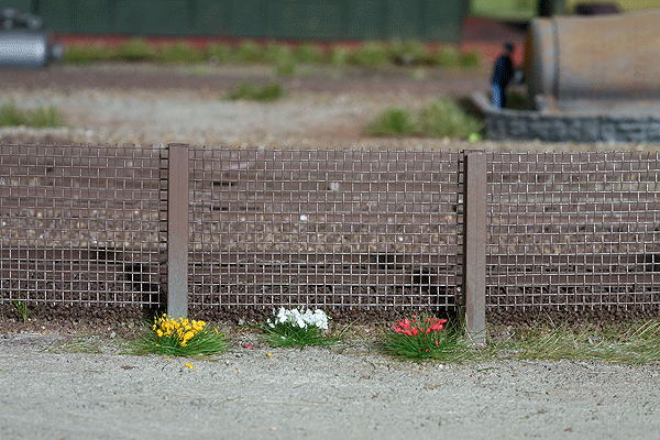 CVR Picture for Grass Tufts Flowering 105/