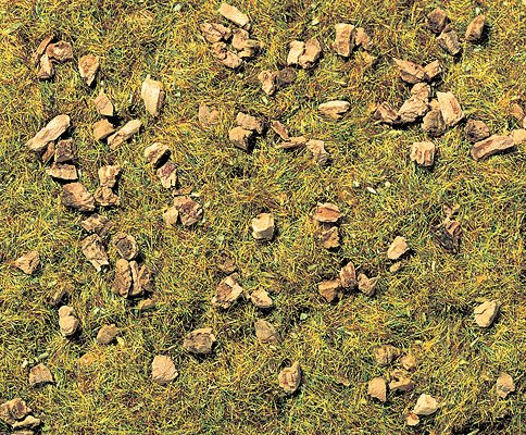 CVR Picture for Scatter Material Stony Mtn Meadow