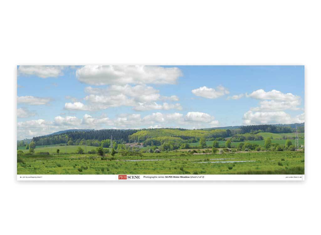 CVR Picture for Backscene Water Meadow 95x13in
