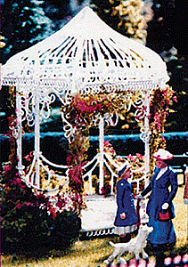 CVR Picture for Flowering Vine kit