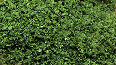 CVR Picture for SuperLeaf Shaker Med Green 16oz