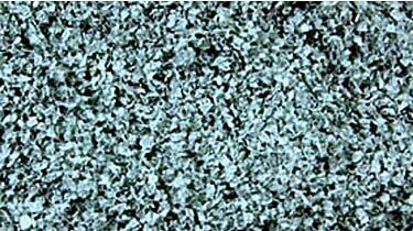 CVR Picture for SuperLeaf Shaker Eucalyptus 16oz