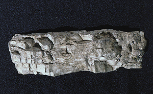 CVR Picture for Rock Mold - Facet rock