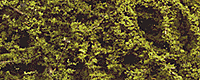 fine_leaf_foliagetm_75_cu_in_12_cu_m_785-1133.gif