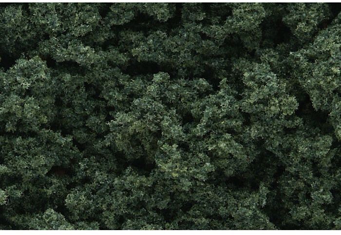 CVR Picture for Clump-foliage Dark green 1qt