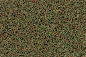 CVR Picture for Burnt grass turf coarse