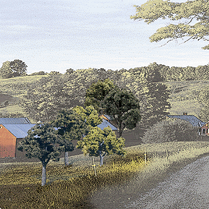 CVR Picture for Trees 2-3inch Mixed Green /23