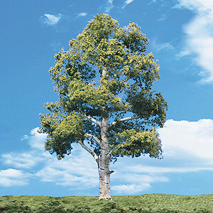 CVR Picture for Trees Water Edge 4-5in /3