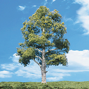 CVR Picture for Trees Water Edge 5-6in /2