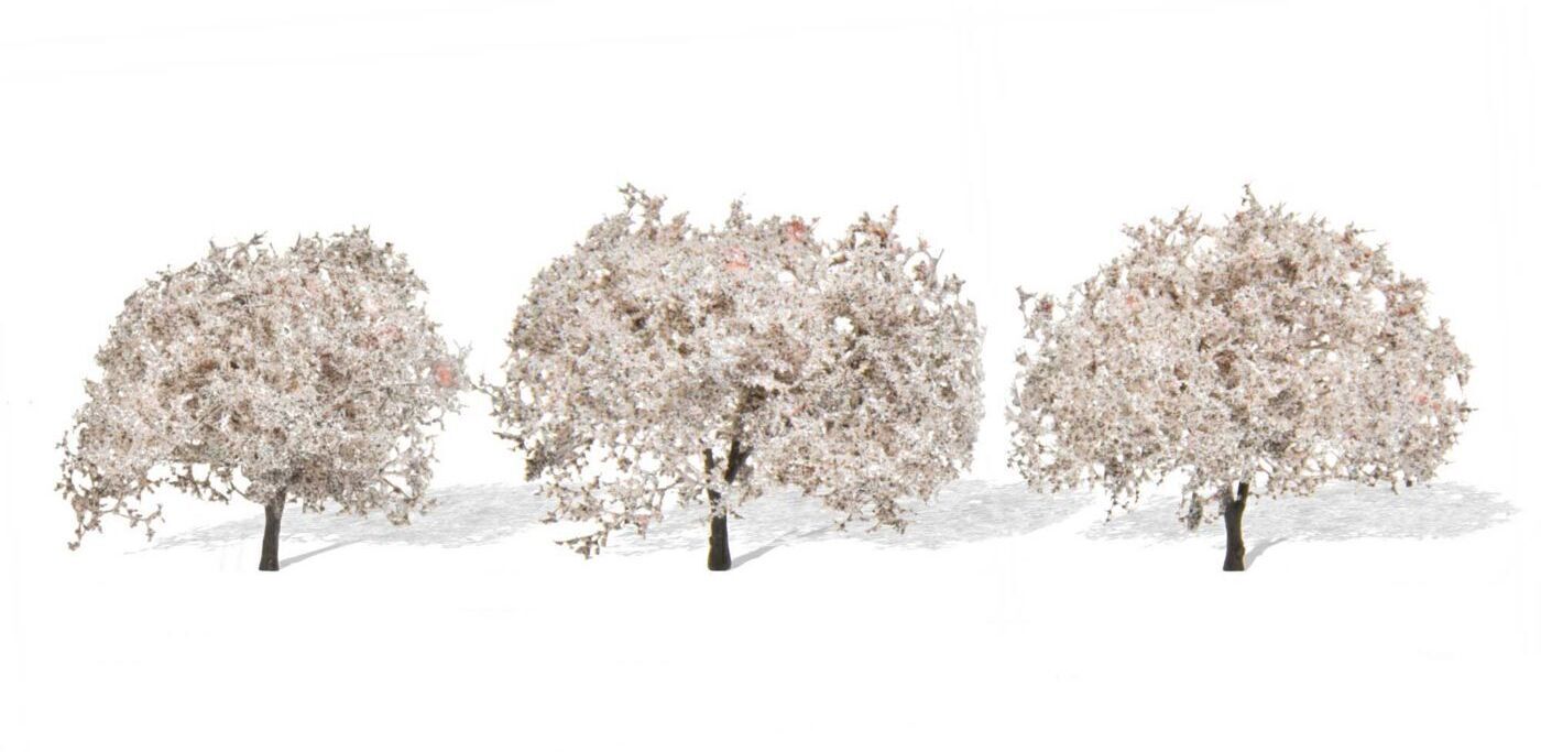 CVR Picture for Cherry Blossom Trees /3